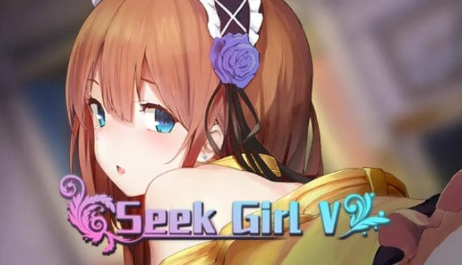 寻找女孩 5/Seek Girl V 容量2.08GB|官方简体中文-LeTaoKe